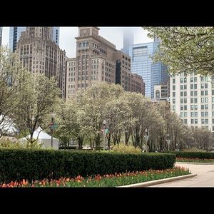 Meet your Posher, Kristine